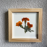 Birth Flower Frame | 10x10 | 6x6