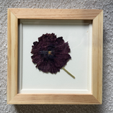 Birth Flower Frame | 10x10 | 6x6