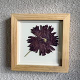 Birth Flower Frame | 10x10 | 6x6
