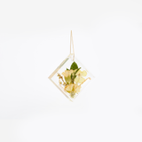 Pressed Flower Resin Ornament | 4x4x1