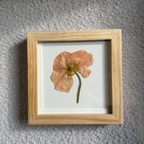 Birth Flower Frame | 10x10 | 6x6