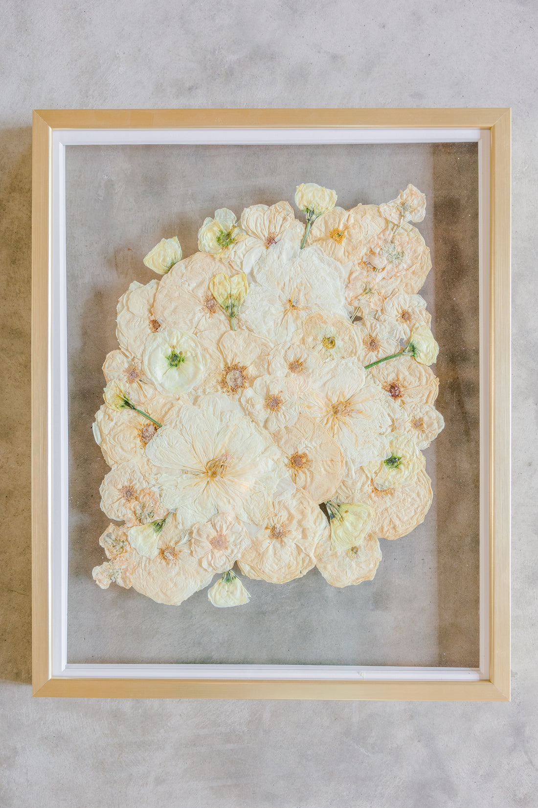 An all white ball bouquet pressed and preserved into a gold frame against concrete.