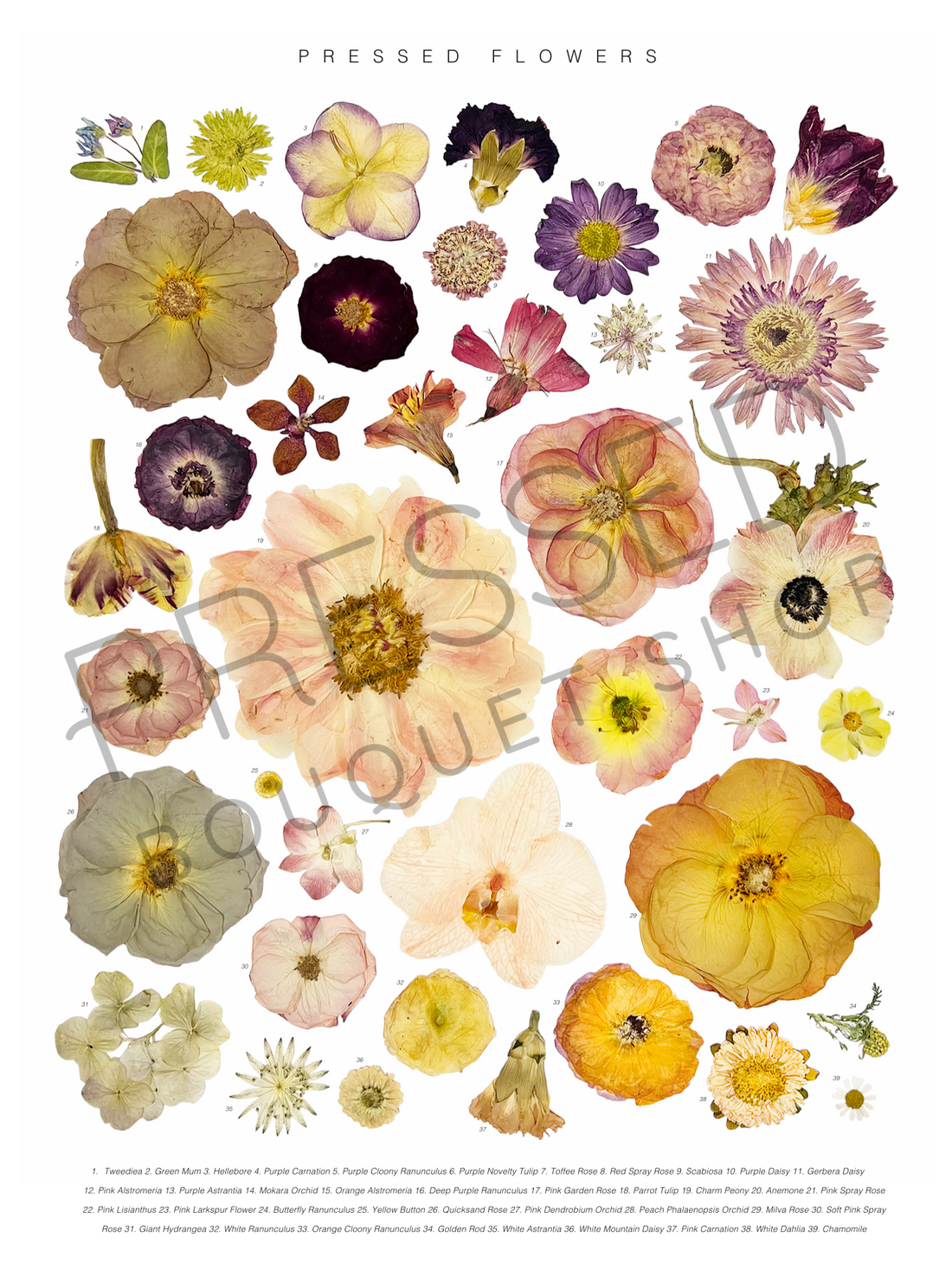 Pressed Flowers Collage | Downloadable Print