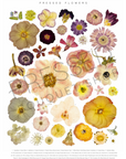 Pressed Flowers Collage | Downloadable Print