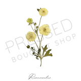 Pressed Stems with Titles | Downloadable Print