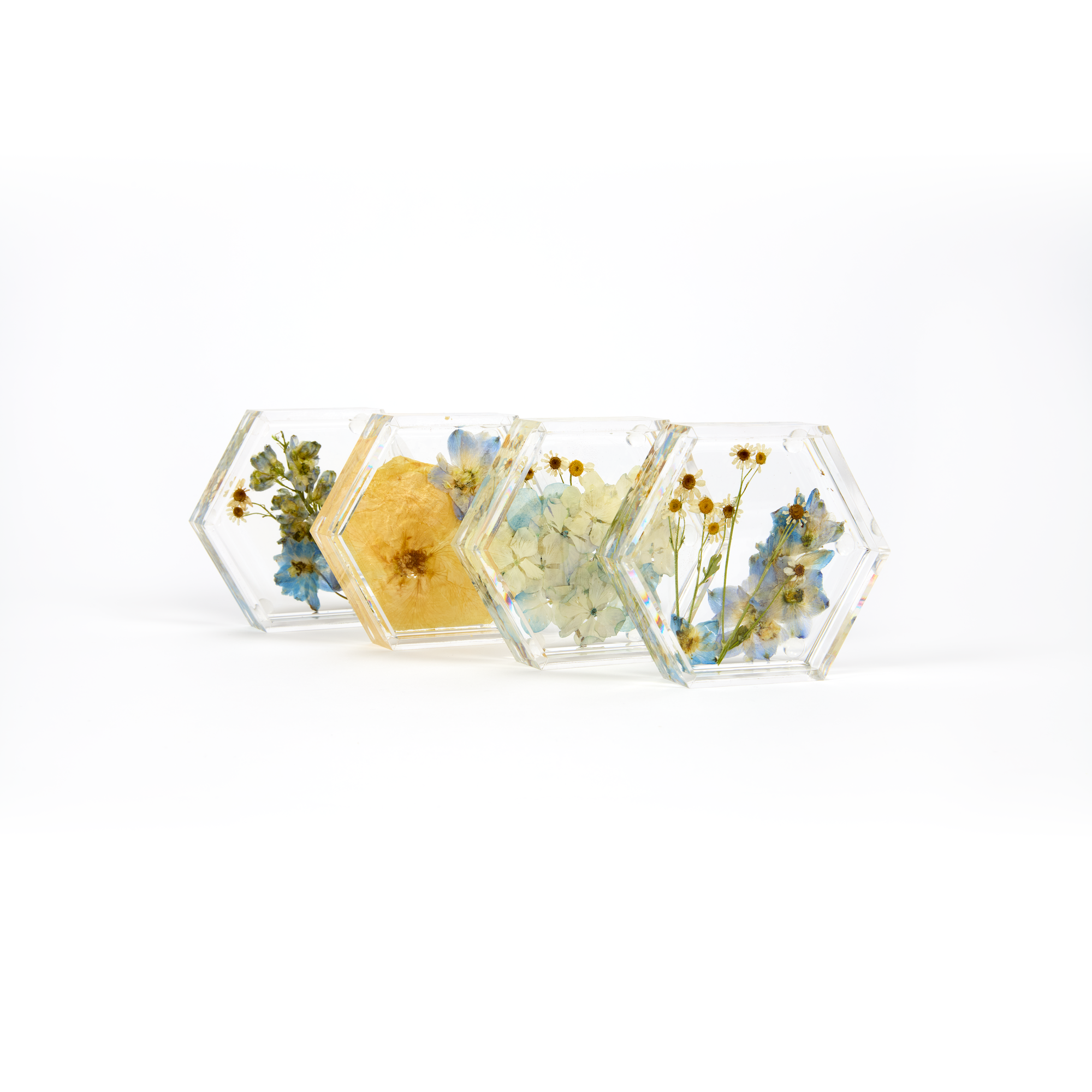 Preserved flowers in resin coasters, a set of four. Hexagon shape. 