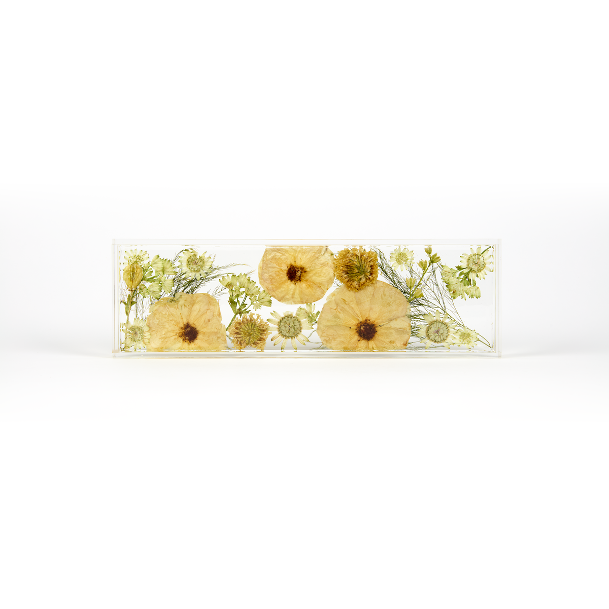 A delicate design of white and green pressed florals in a resin display tray as a part of a wedding bouquet preservation order. 