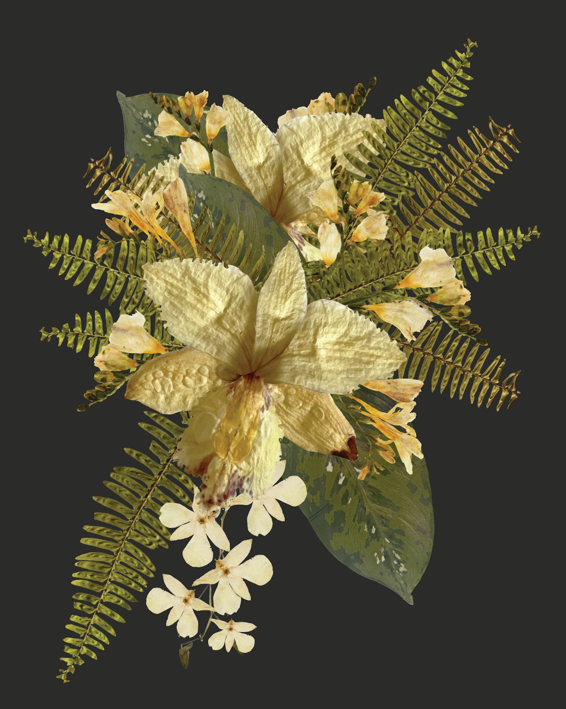 Tropical preserved flower design on a black background