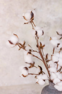 Life-Like Cotton Stems | Set of 3