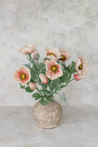 Soft Touch Anemone | Set of 6