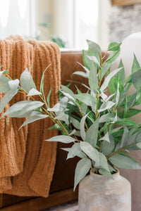 Frosty Eucalyptus Stem | Set of 3