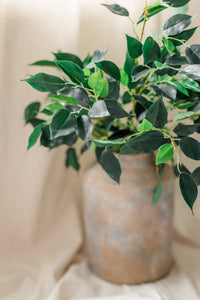 Banyan Leaf Stem | Set of 3