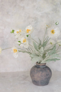 Poppy Whisper | Set of 6