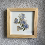 Birth Flower Frame | 10x10 | 6x6