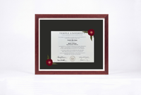 Pressed Flower Diploma Frame | 16x20 Graduation Keepsake