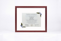 Pressed Flower Diploma Frame | 16x20 Graduation Keepsake