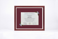 Pressed Flower Diploma Frame | 16x20 Graduation Keepsake