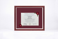 Pressed Flower Diploma Frame | 16x20 Graduation Keepsake