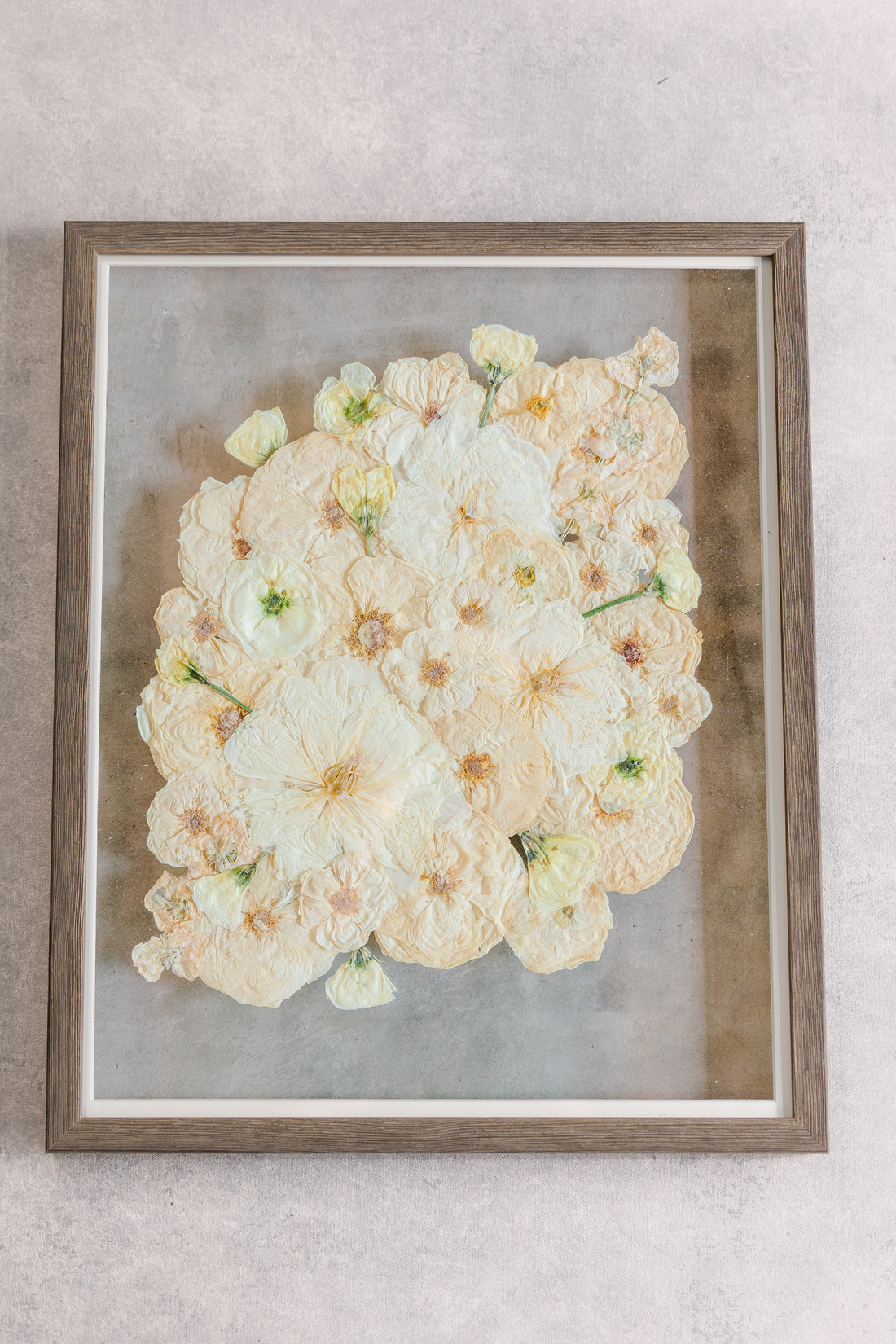 Large barn wood frame with pressed white roses encased.