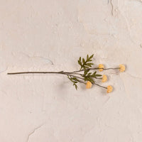 Peach Onion Spray | Set of 3 Stems