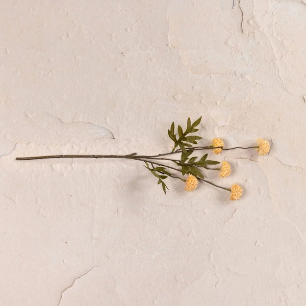 Peach Onion Spray | Set of 3 Stems