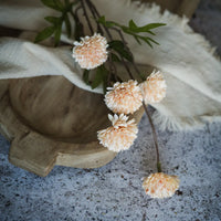 Peach Onion Spray | Set of 3 Stems