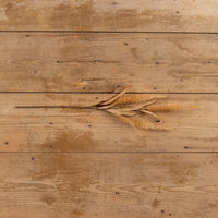 Sienna Bristlegrass Spray | Set of 3 Stems