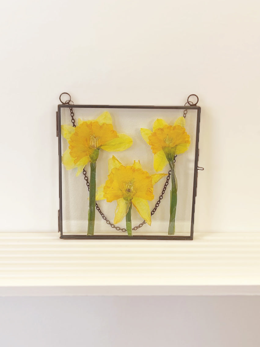 "Modern Daffodils" Pressed Flower Frame | Gunmetal Square