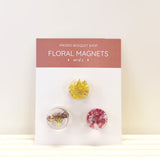 Magnet Packs