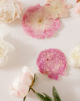 Fresh to pressed peonies