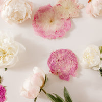 Fresh to pressed peonies