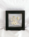 Birth Flower Frame | 10x10 | 6x6