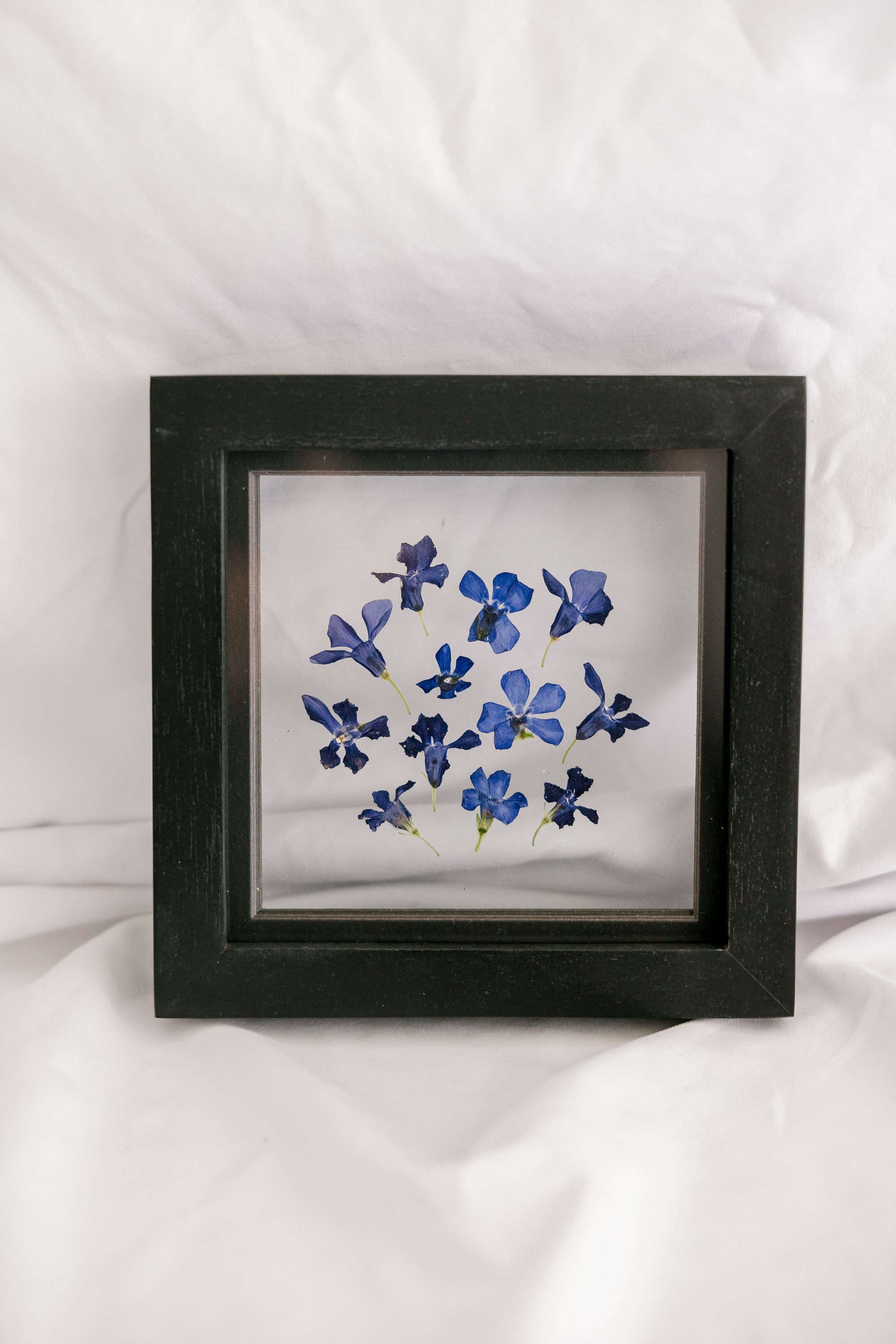 Birth Flower Frame | 10x10 | 6x6