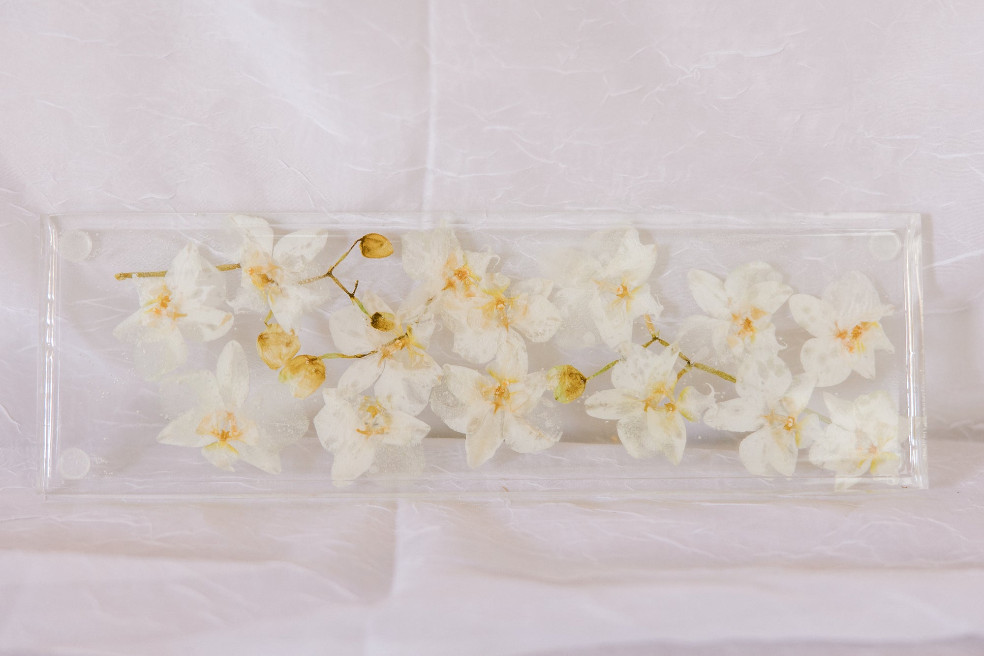 White orchids dried and preserved in a resin display tray as a functional piece of home decor