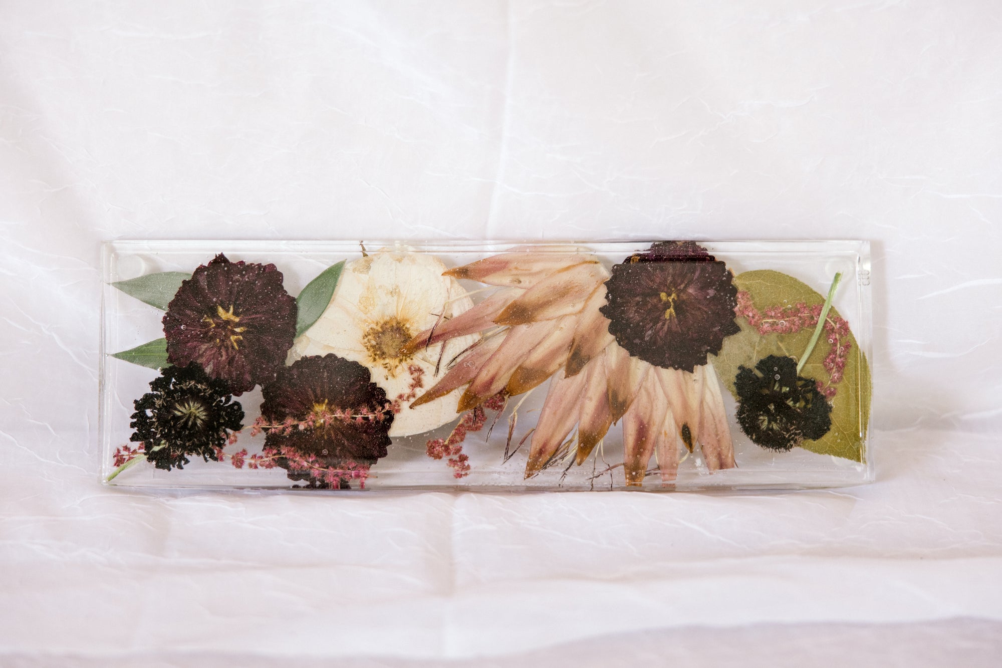 Beautiful big flowers, including a protea, dried and preserved in a resin display tray