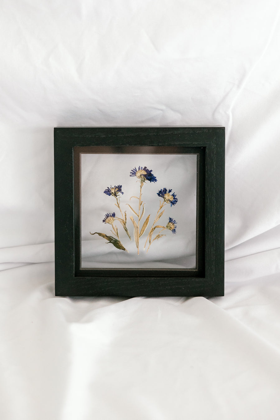 Birth Flower Frame | 10x10 | 6x6