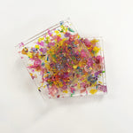 Pride month petal confetti coasters