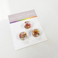 Three magnets in a pack of pride petal confetti magnets