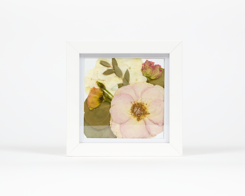 6x6 pressed flower frame preservation with UV resistant glass